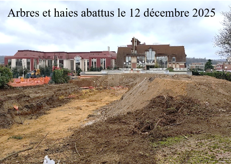 actualites-2